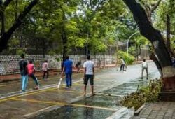 दबी छिपी ज़िन्दगी में रवानी का रविवार