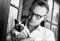 Rusty, the Boy from the Hills