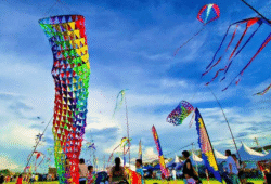 Makar Sankranti Festival – A Party in the Sky!