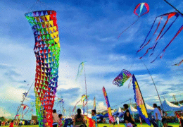 Makar Sankranti Festival – A Party in the Sky!