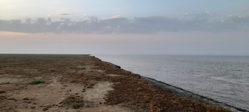 early morning at Gulf of Khambat