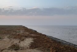 Bizarre Sunrise Chase at the Gulf of Khambat