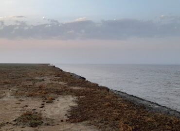 Bizarre Sunrise Chase at the Gulf of Khambat