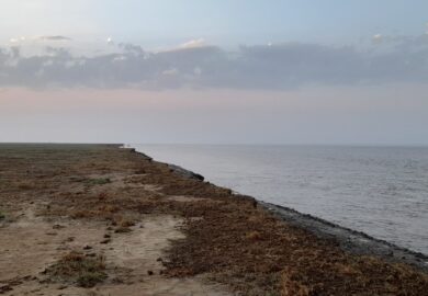 Bizarre Sunrise Chase at the Gulf of Khambat