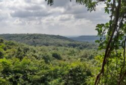 Ananthagiri Hills: A Serene Escape into Nature’s Power