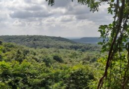 Ananthagiri Hills: A Serene Escape into Nature’s Power