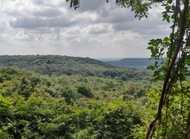 Ananthagiri Hills: A Serene Escape into Nature’s Power