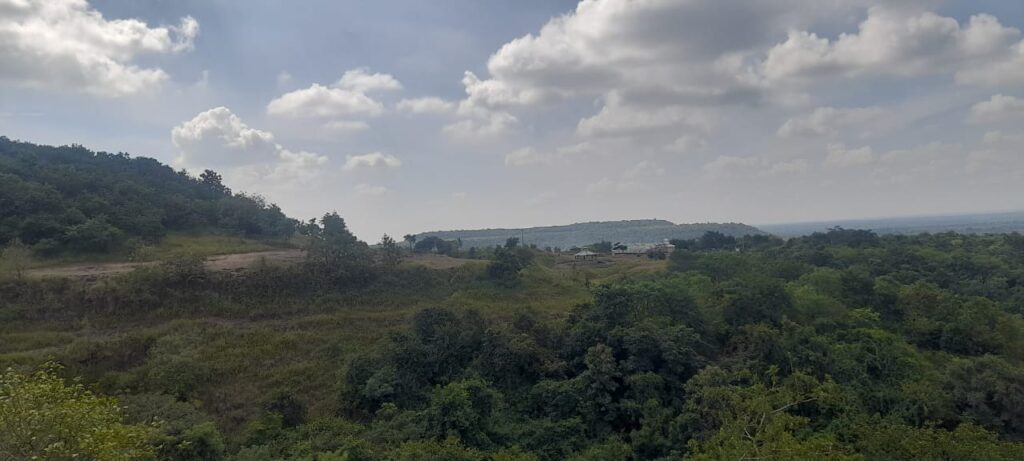 A view from the watchtower at Ananathagiri Hills